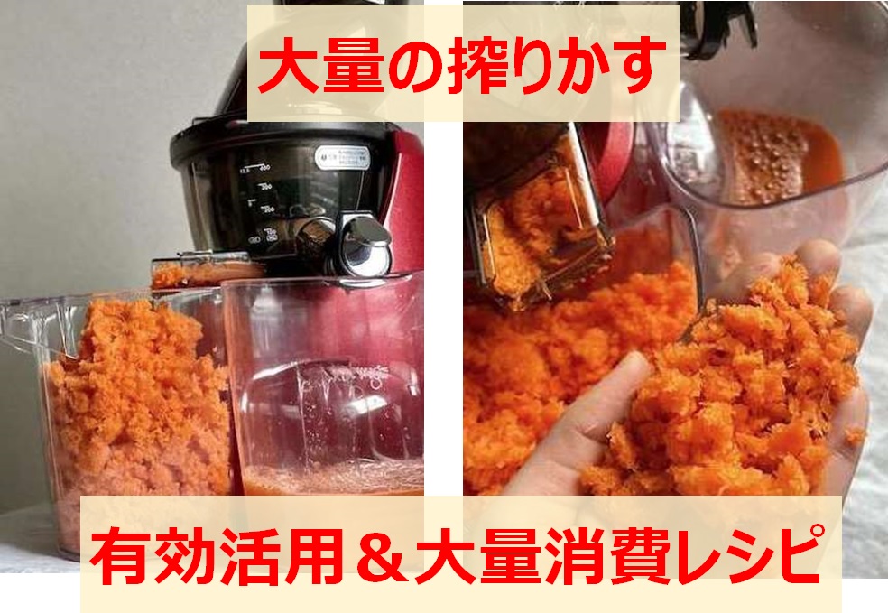 2904円 【SALE／74%OFF】 ジューサー スロージューサー 搾りかす 搾りカス アレンジ料理 ミキサー